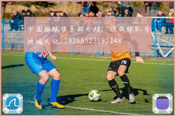 中国排球俱乐部介绍：顶级球队与地域文化_20260523195248